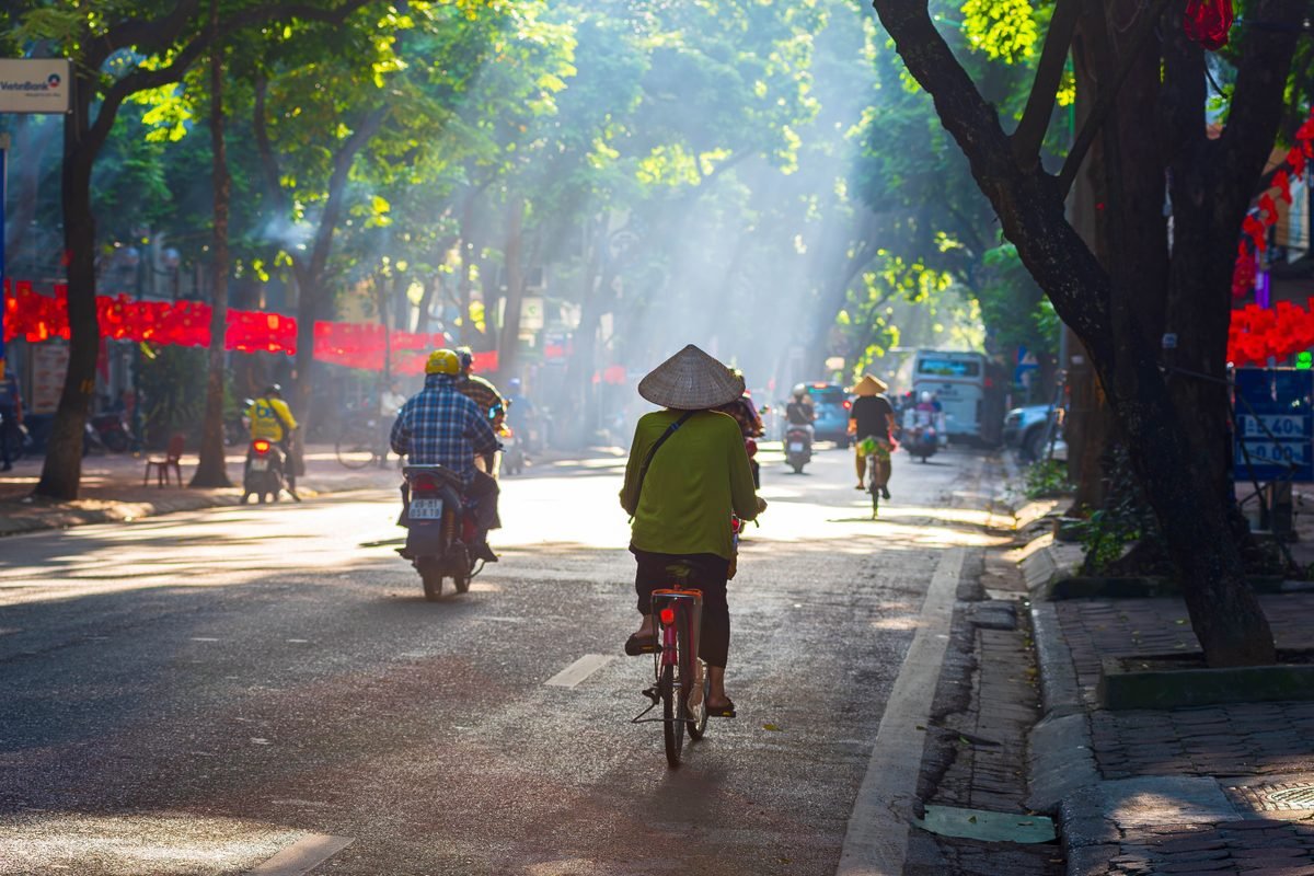 Bicyclists and motorists on a sunny tree-lined street.