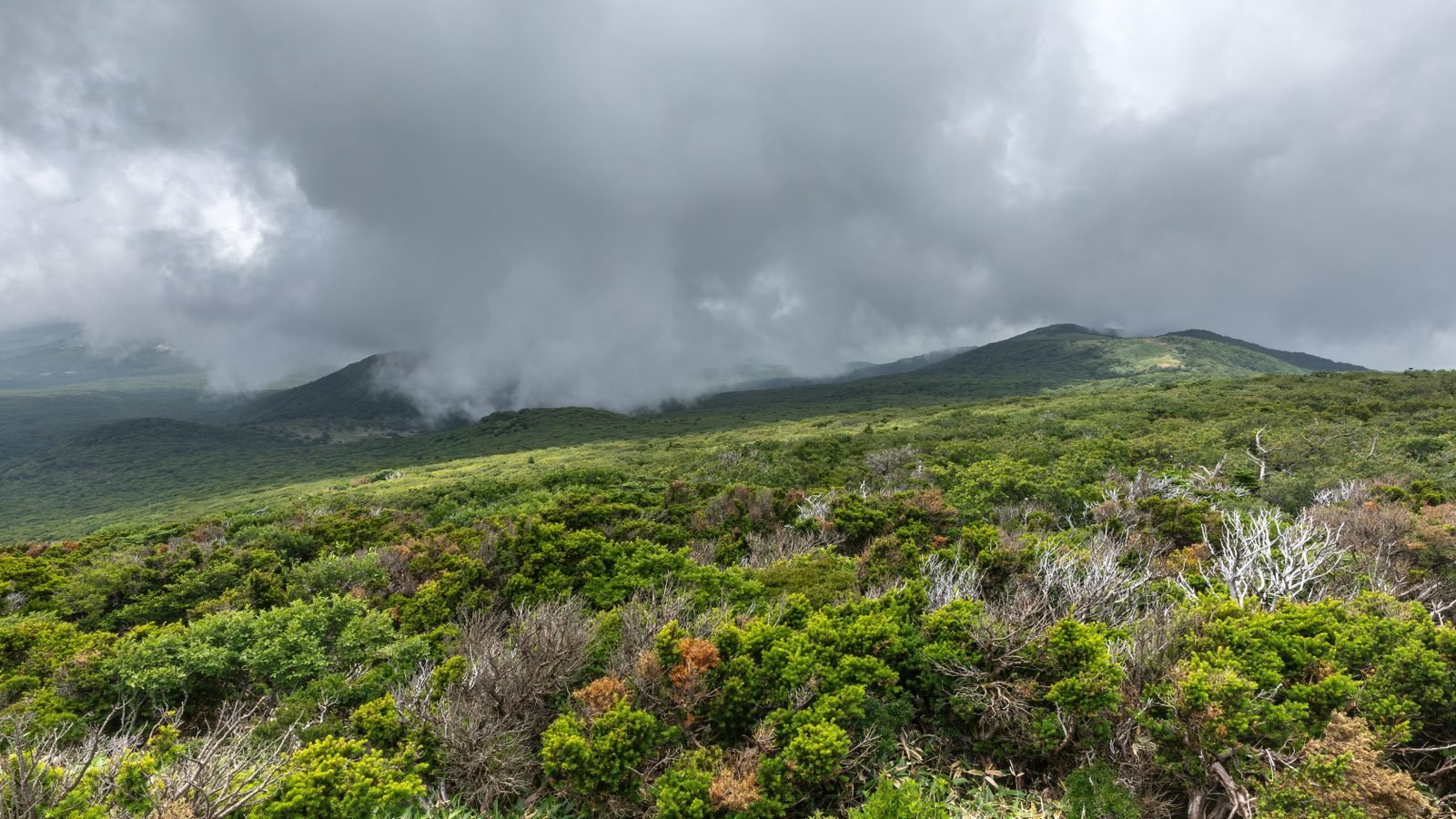 Green subtropical vegetation and rolling hills under cloud-swept sky in Hallasan National Park