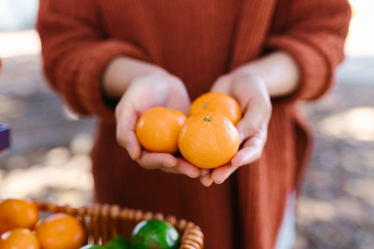Hands gently holding ripe harvested mandarins