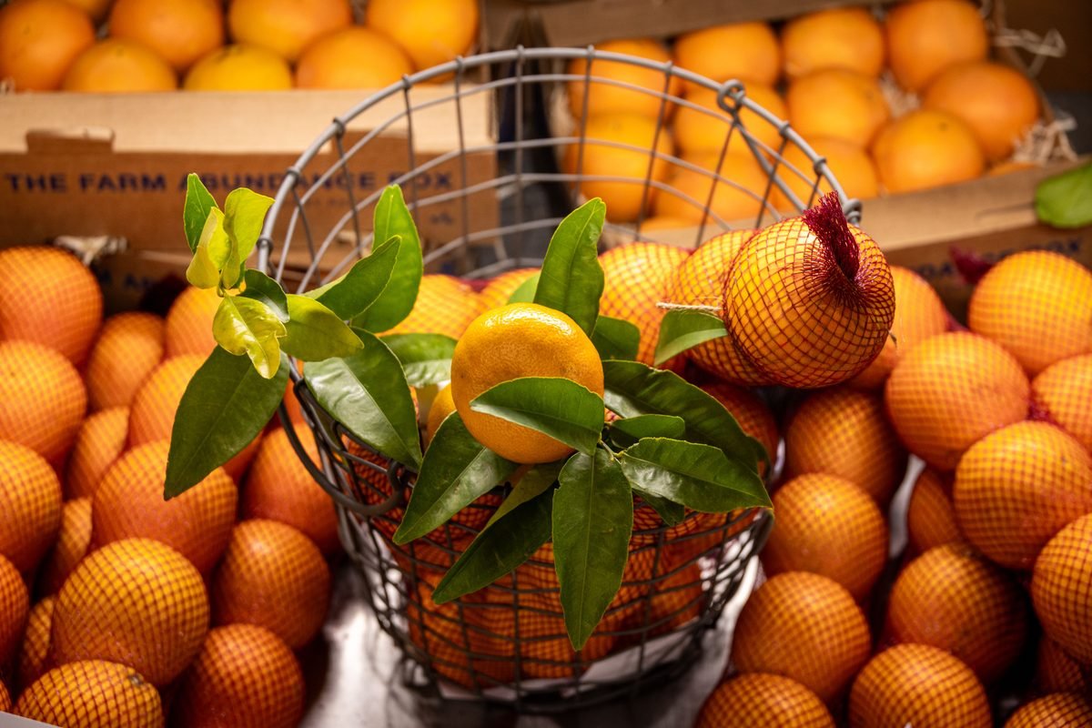Fresh tangerines in a wire basket with green leaves