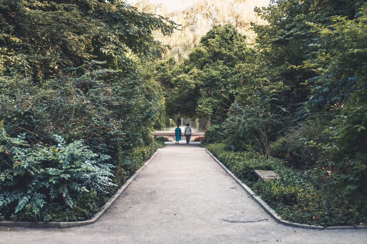 Green park path lined with trees and shrubs in Krakow