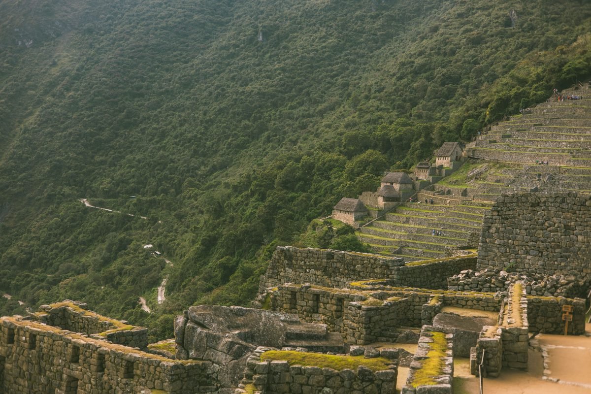 Panoramic landscape of Machu Picchu terraces cascading down a green hillside