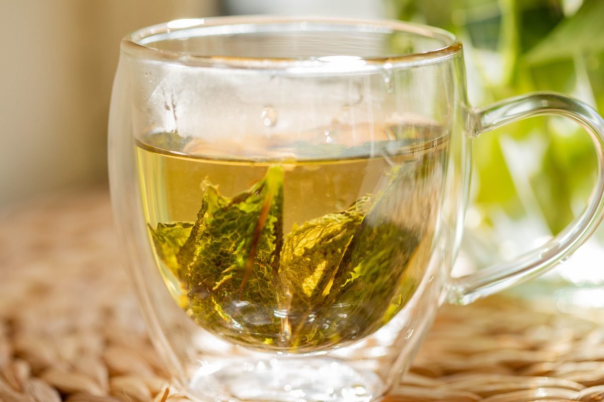 Glass mug of hot herbal infusion with green leaves resting on a table