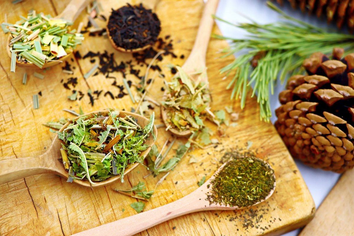 Assorted dried herbs and leaves displayed on wooden spoons