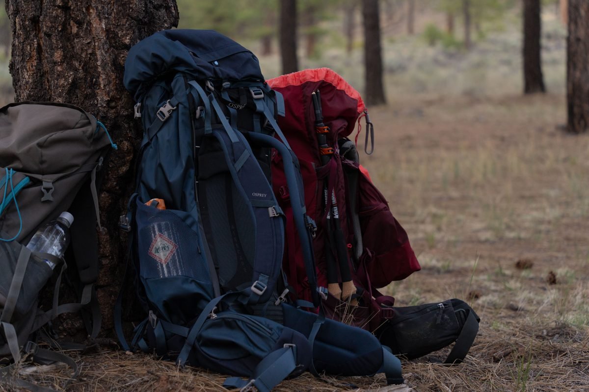 Hiking backpacks resting against a tree in a forested campsite