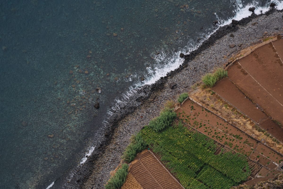 High-angle view of agricultural fields meeting a rocky ocean shoreline.