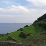 Rice Terrace in Namhae, South Korea overlooking the ocean.