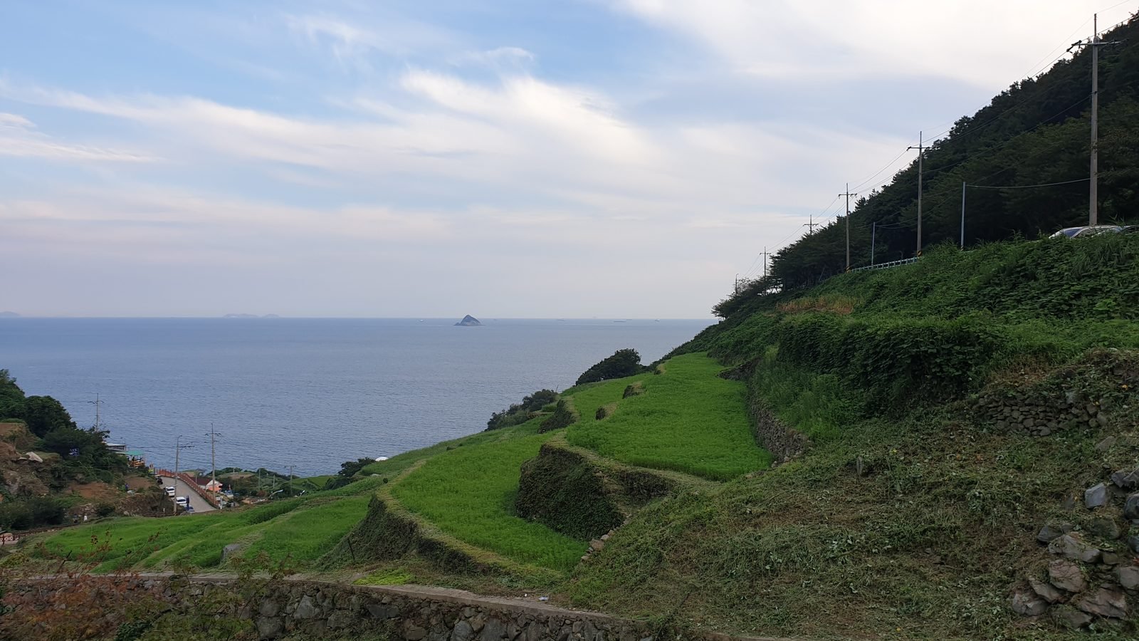 Rice Terrace in Namhae, South Korea overlooking the ocean.