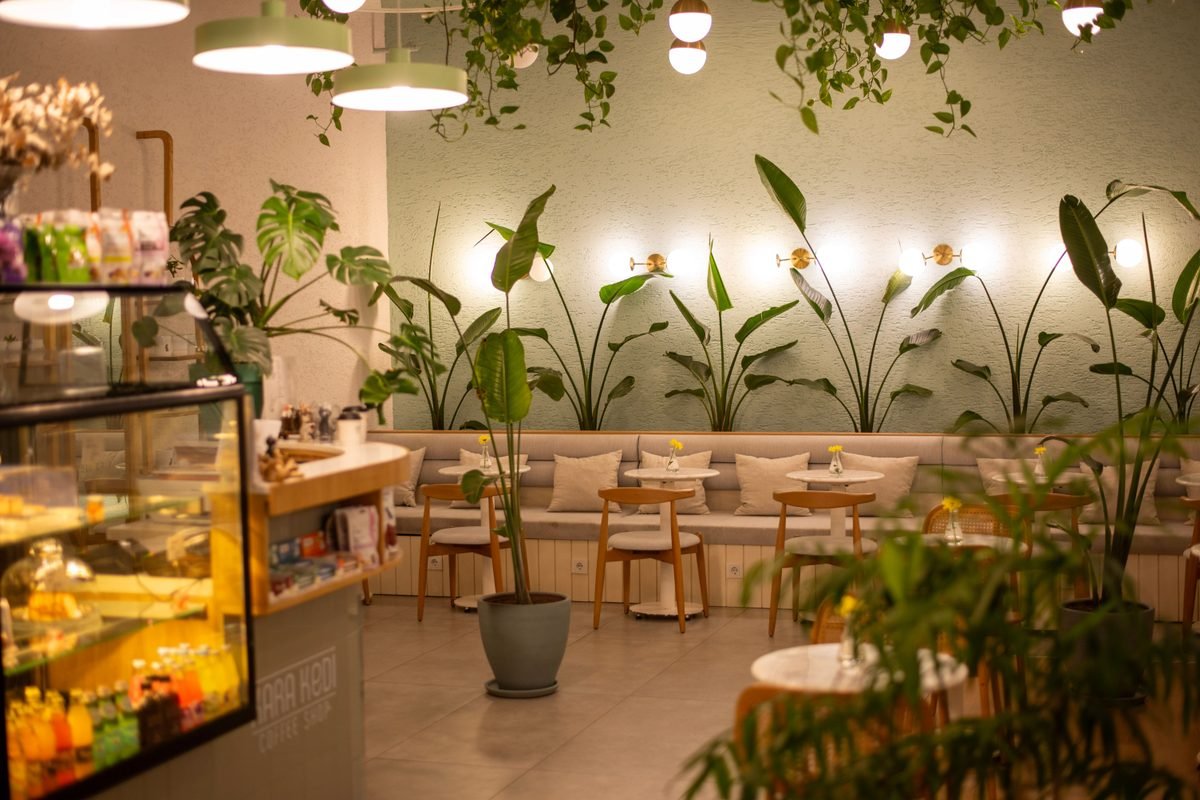 Cozy café interior with plants and warm lighting