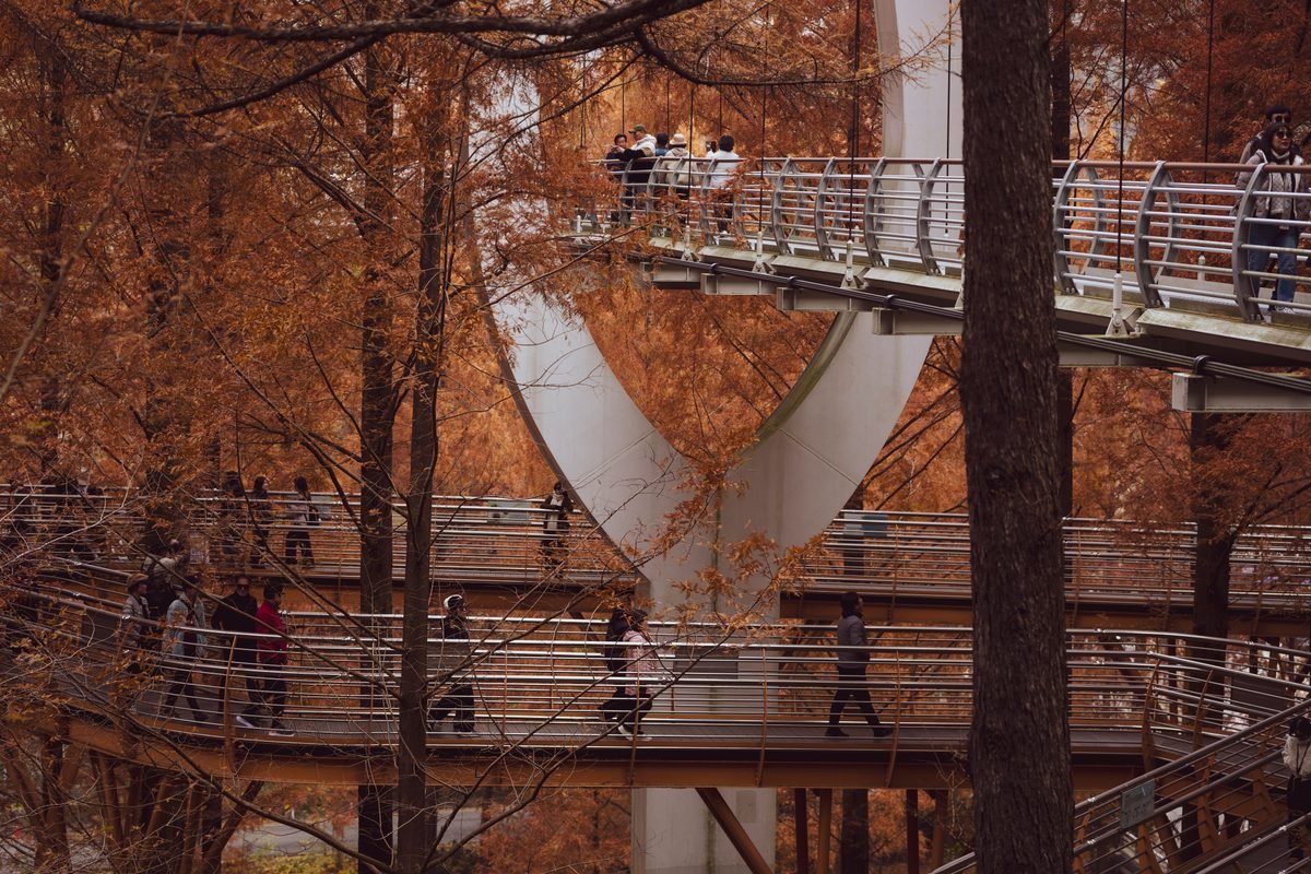 Elevated metal walkway structure curving through vibrant autumn trees