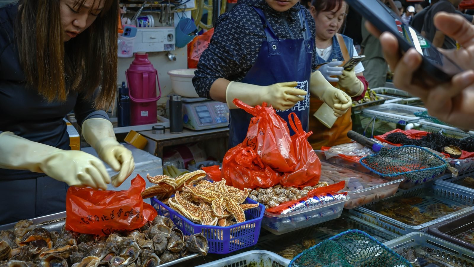 Vendors interacting at a vibrant seafood market with various sea delicacies