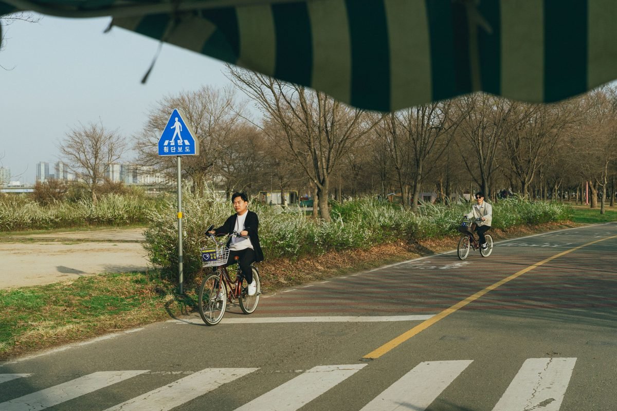 Two people cycling along a paved path in a park lined with trees.