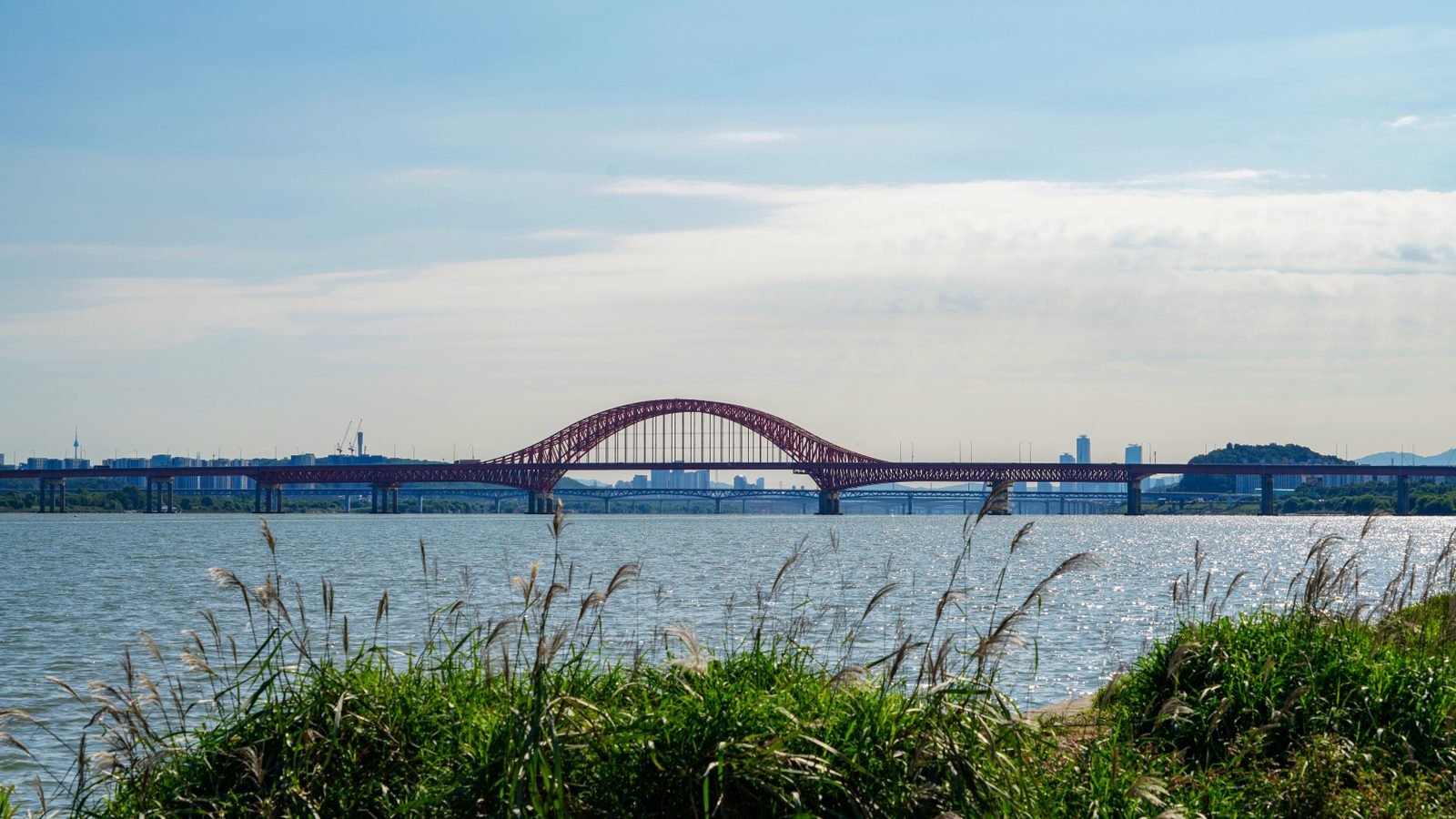 Banghwa Bridge crossing the Han River with green reeds in the foreground.