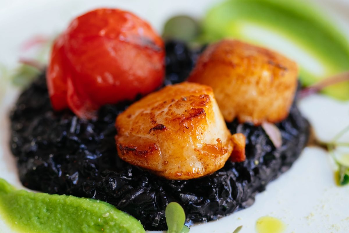 Gourmet scallops served on top of dark black risotto with a roasted tomato