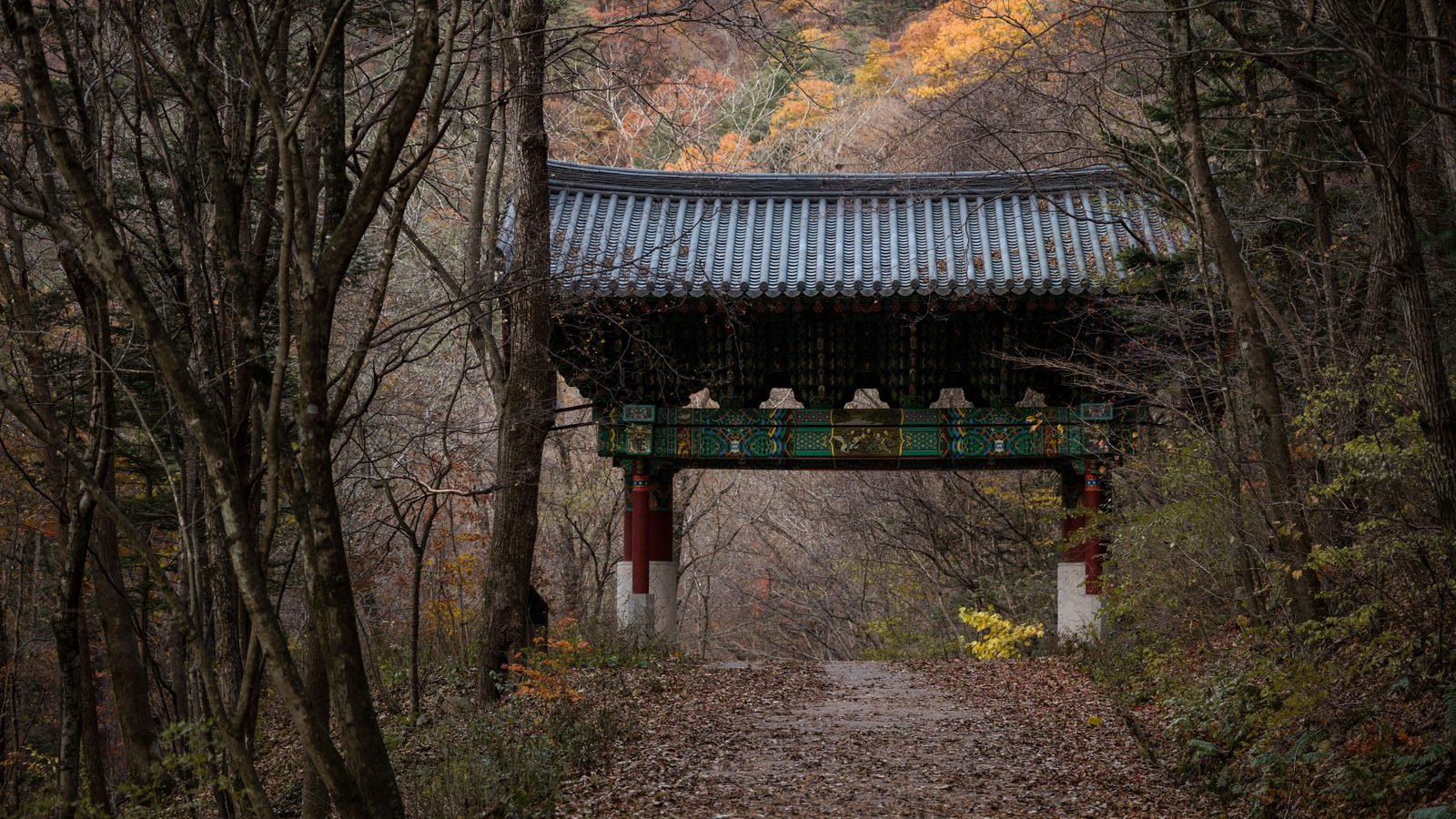 Traditional Korean gate nestled in a dense autumn forest