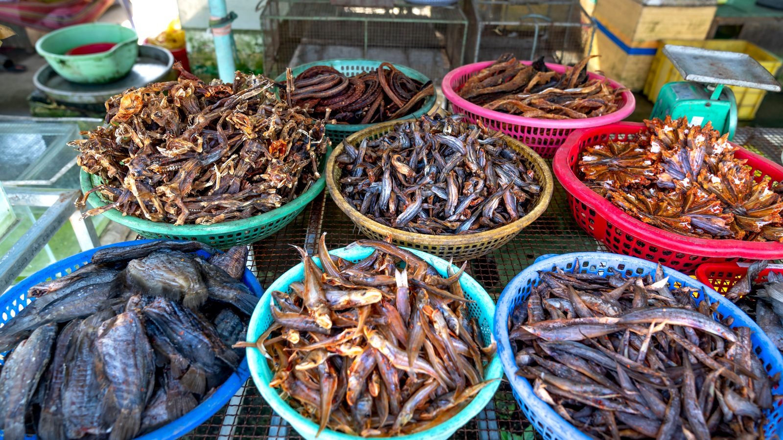 Colorful selection of dried fish in baskets at an open-air market stall