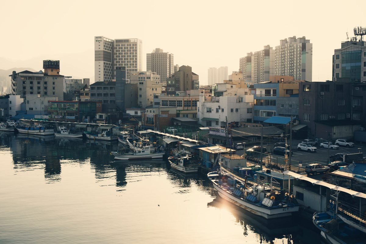 Fishing boats moored along a coastal harbor with urban buildings.