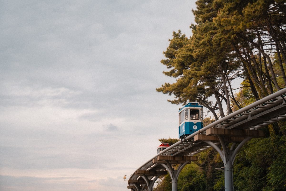 An elevated monorail train moving along a track with surrounding trees.