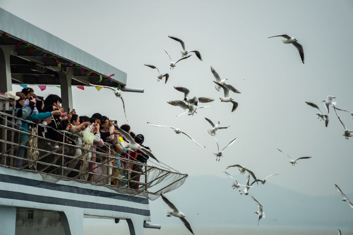 People on a ferry deck feeding seagulls flying over the ocean.